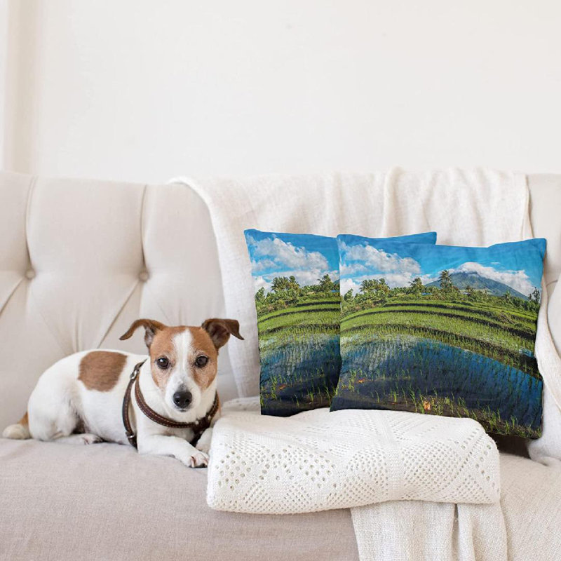 Loon Peak® Devoria Pillow Cover Wayfair